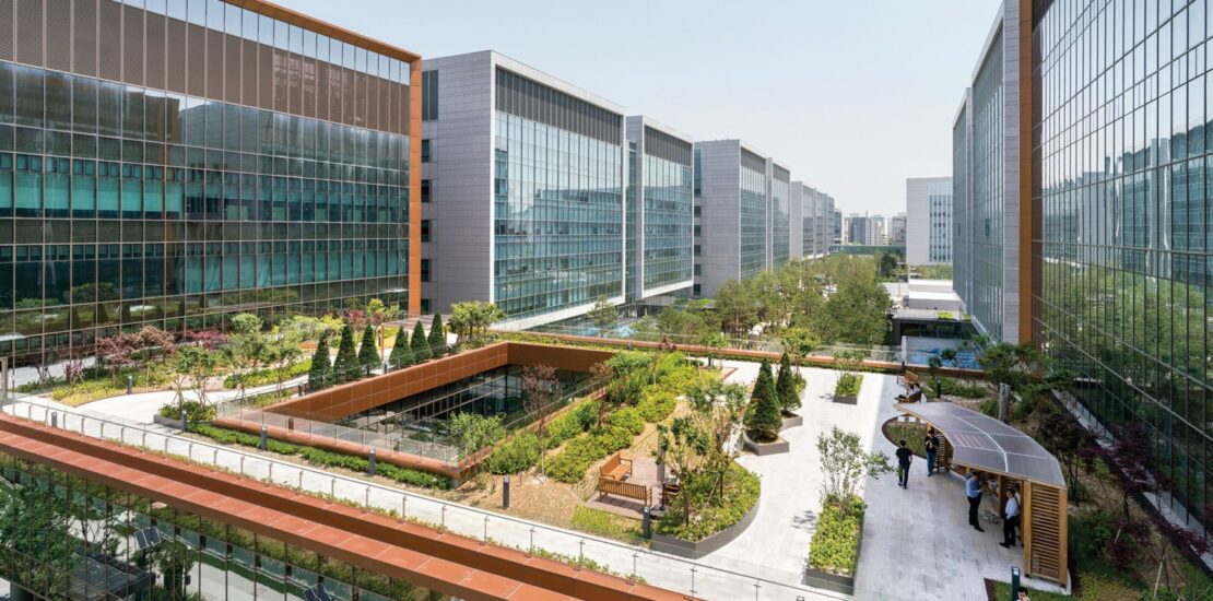 What services do urban designers offer?